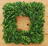 18" Fresh Boxwood Frame